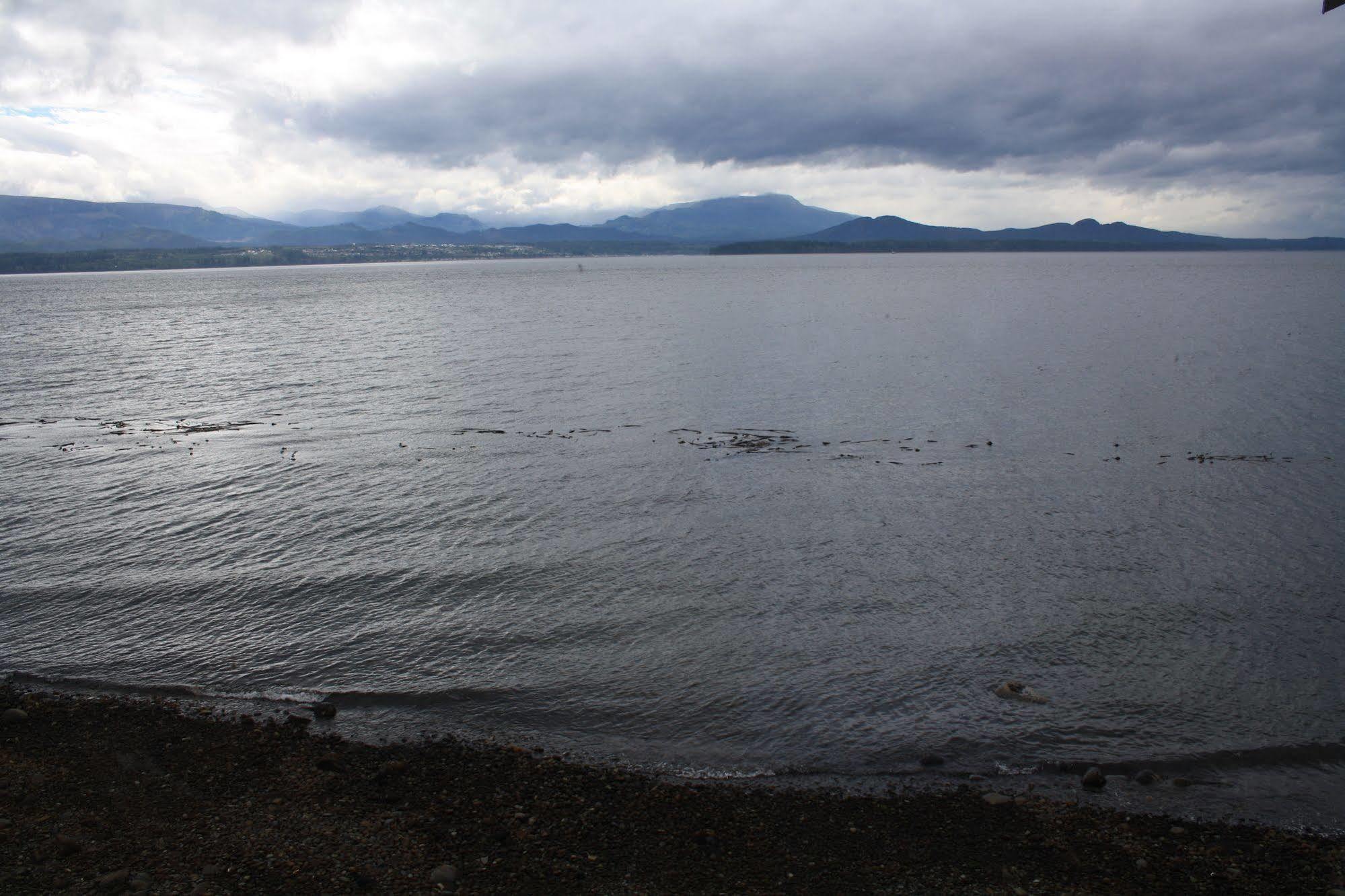 Orca Lodge Sointula Екстер'єр фото